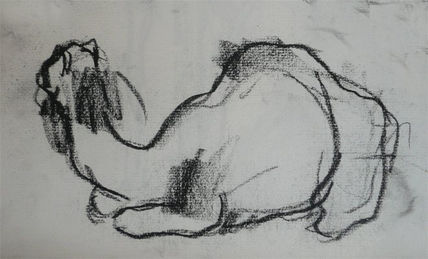 Camello