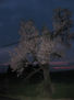 El Almendrero al atardecer