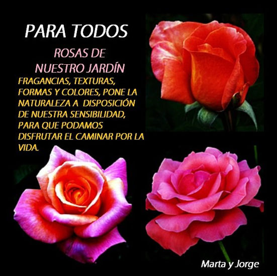 2010/F010 ROSAS DE NUESTRO JARDÍN 1  "Para todos" Naturaleza Color (Digital)