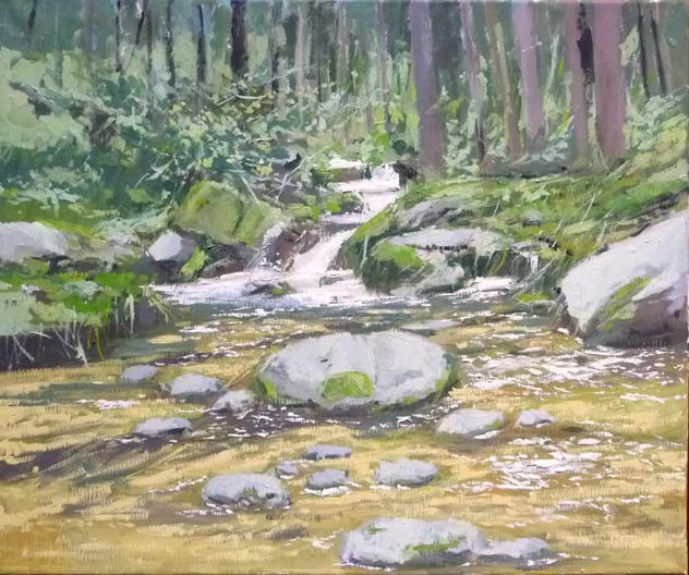 EL RÍO LOZOYA, MADRID