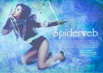 Spiderweb para...