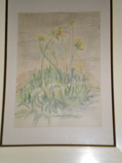 Amarillas