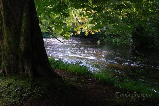 Skagit river Nature Color (Digital)