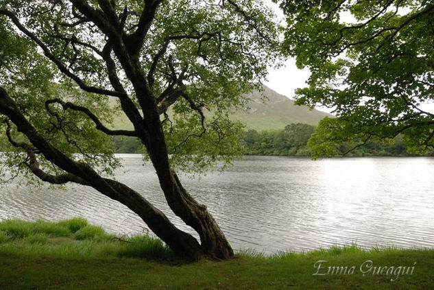 Lago Corrib 