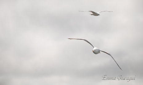 LIBERTAD
