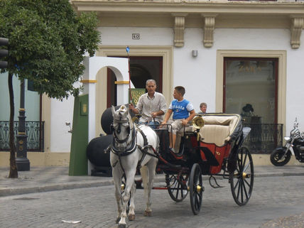 Andalucia  esta  viva