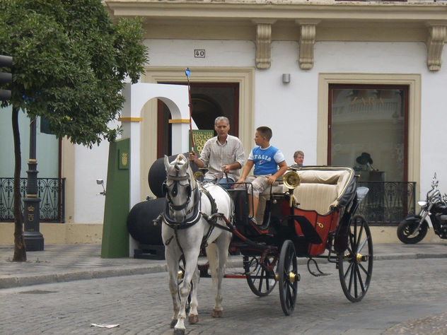 andalucia  esta  viva