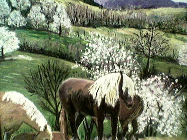 pallares
