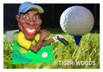 Tiger woods