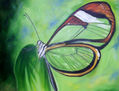 metamorfose