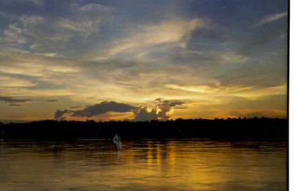 Atardecer selvático 2