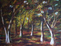 El bosque