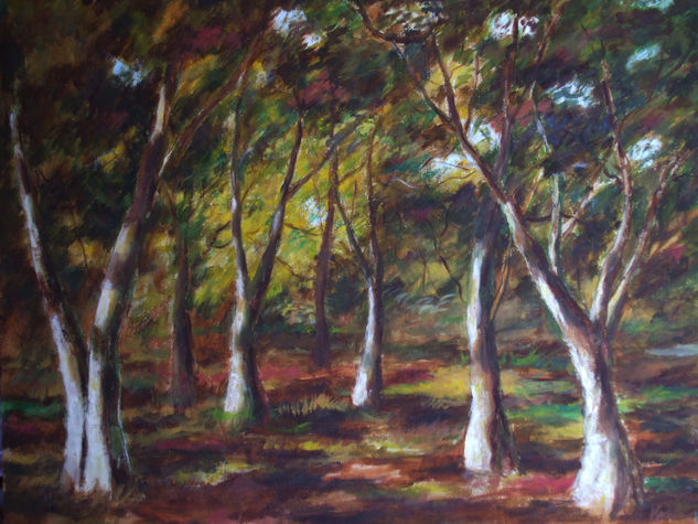 EL BOSQUE 