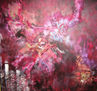 corazon