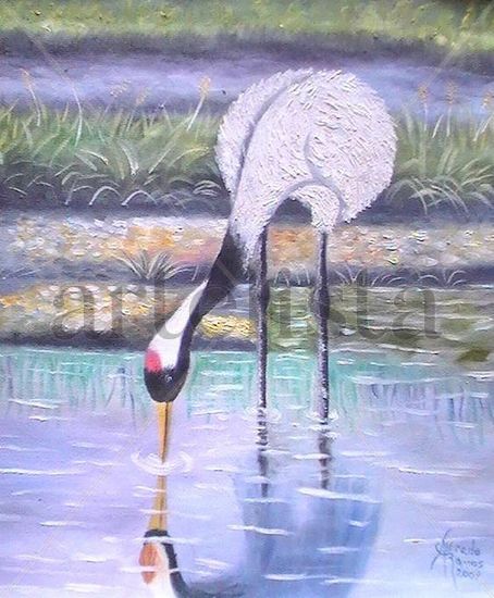 garza blanca Oil Canvas Animals