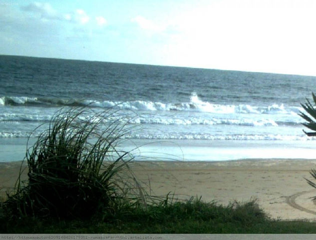 PLAYA  DE PORTEZUELO   EN  MAYO,   URUGUAY Nature Color (Digital)