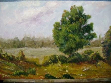 Arbol solitario
