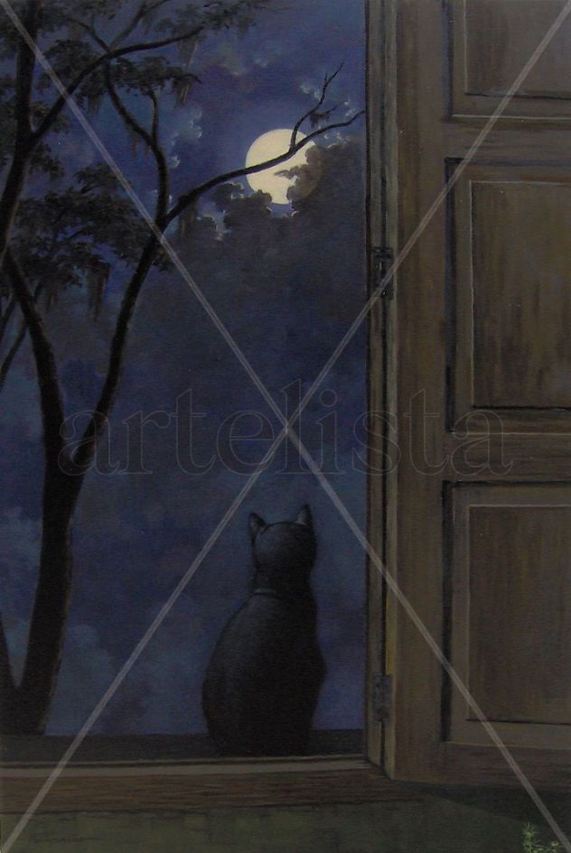 FELINO ANTE LUNA LLENA