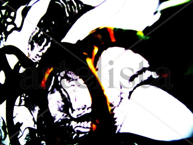 MATERIAL BLACK Conceptual/Abstract Color (Digital)