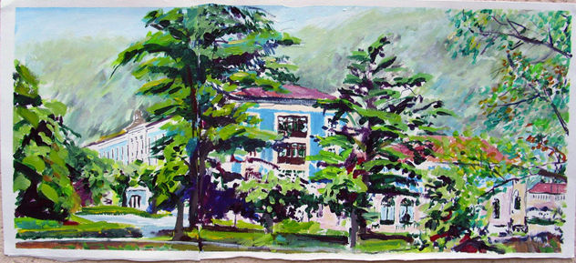 Vista balneario