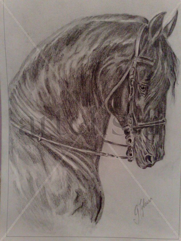 caballo