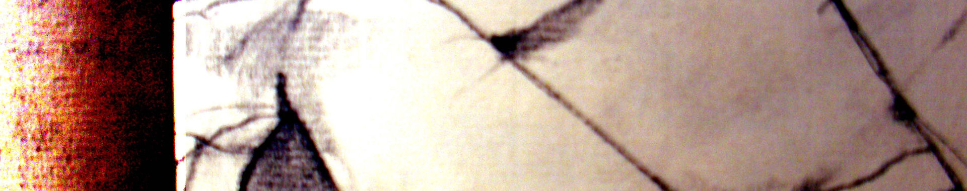 Imagen de portada