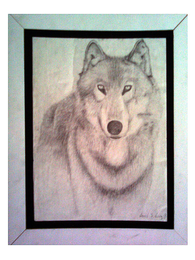 lobo