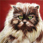 ANIMALES thumbnail 2