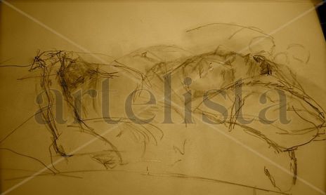 DIBUJOS
