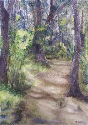 Camino a la Cascada de los Duendes Watercolour Paper