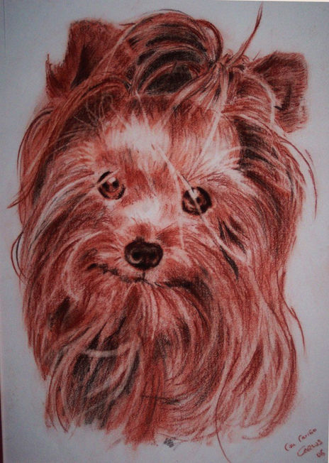 Perrita a la sanguina