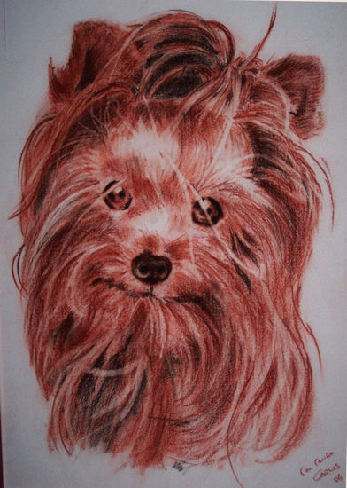 PERRITA A LA SANGUINA Pencil (coloured) Paper Animals