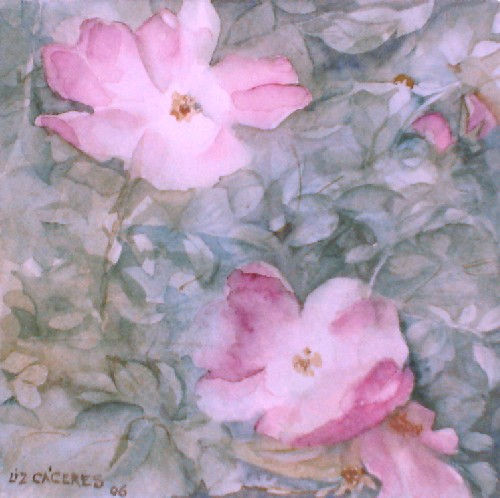 Rosa mosqueta Watercolour Paper