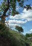 LADERA