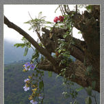 Paisajes thumbnail 1