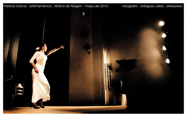 Arte Flamenca . Patricia García