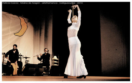 Arte Flamenca ....