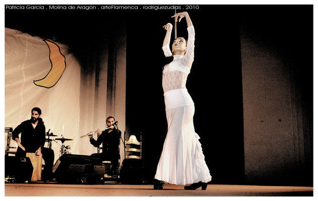 Arte Flamenca . Patricia García