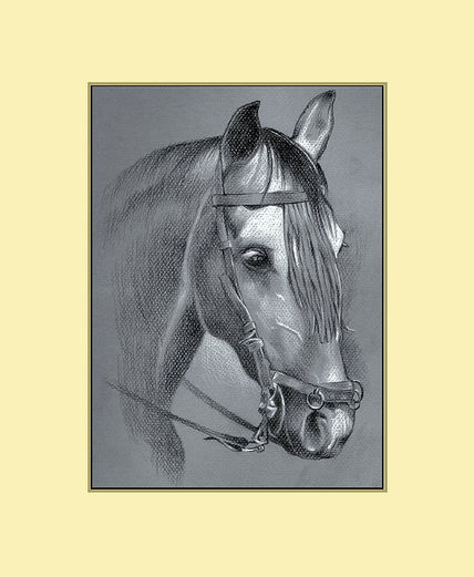 Cabeza de caballo