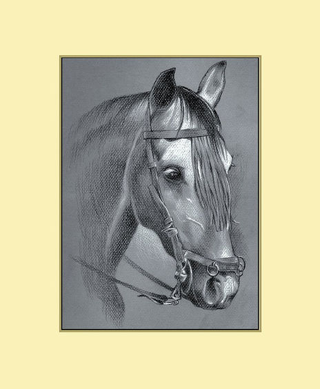 Cabeza de caballo
