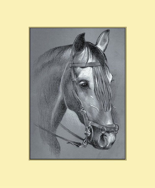 Cabeza de caballo