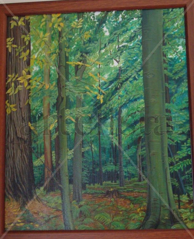 BOSQUE 2