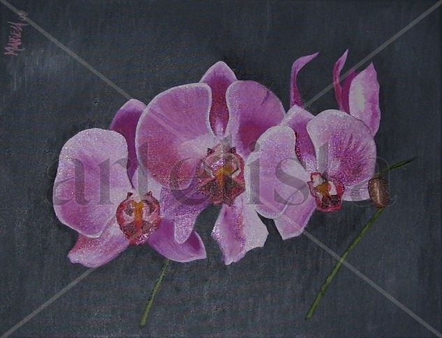 orquídeas Oil Canvas Floral Painting