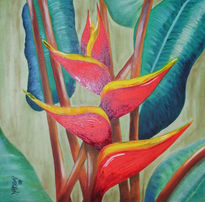 Heliconia