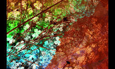 Naturaleza