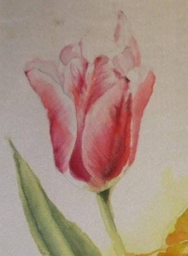 Fragmento(tulipan  rosa) Ink Textile Floral Painting