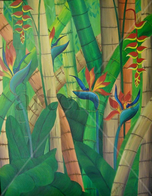 praiso trópical