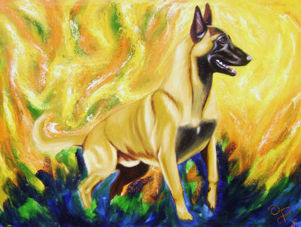 Malinois