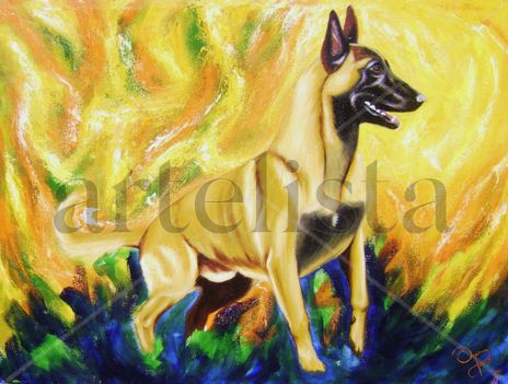 Malinois
