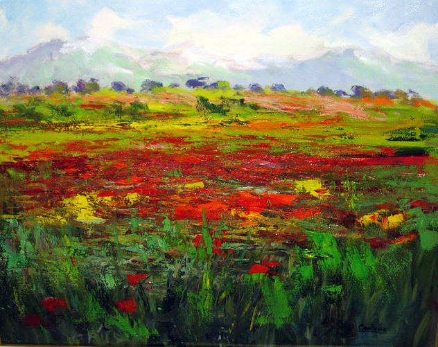 CAMPO DE AMAPOLAS EN LEÓN